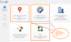 catégories des pages Google +