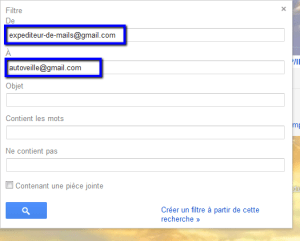 remplir le formulaire du filtre