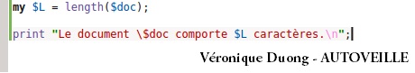 Compteur de caractères - AUTOVEILLE