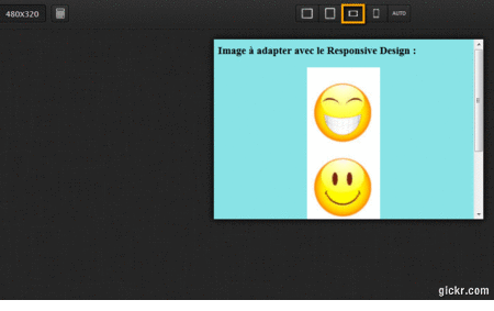 Exemple de Responsive Design - AUTOVEILLE