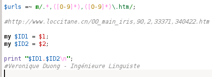 Outil SEO : Extraction automatique d'IDs - AUTOVEILLE