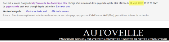 indexation-page-amp-autoveille