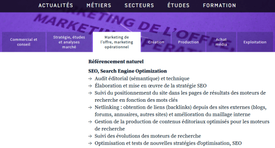 seo-metiers-publicite AUTOVEILLE - Véronique Duong