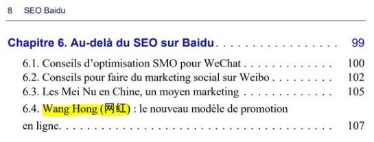 chapitre-6-kol-veronique-duong-seo-baidu