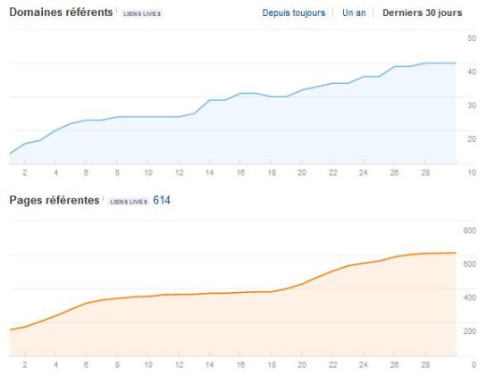netlinking-influenceuse-asiatique-veronique-duong
