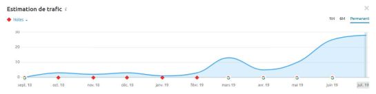 trafic-organique-seo-site-ecommerce-veronique-duong